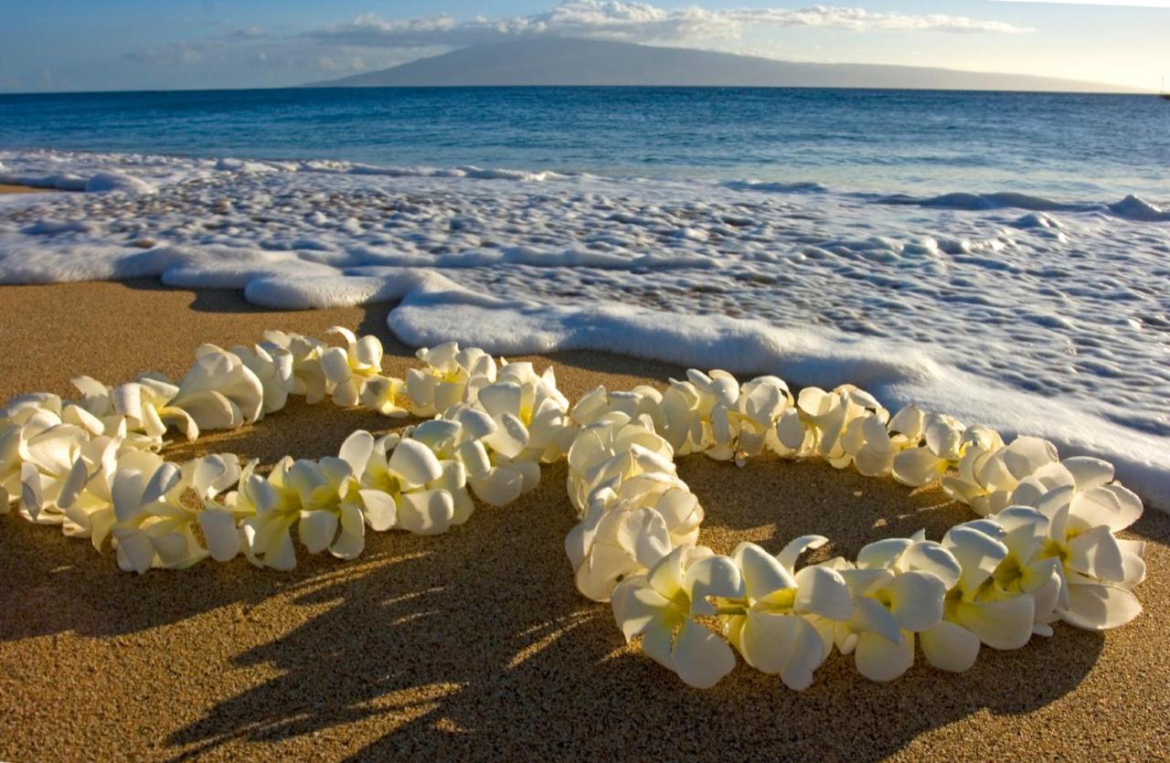 Great Diamond Head Views, 2Br Condo With Free Parking! โฮโนลูลู ภายนอก รูปภาพ